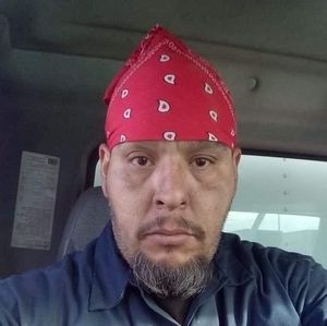 Meet your Posher, Art